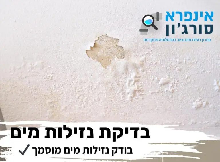 בדיקת נזילות מים