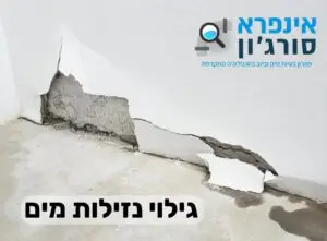 גילוי נזילות