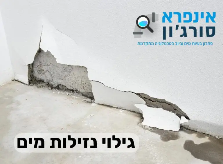 גילוי נזילות