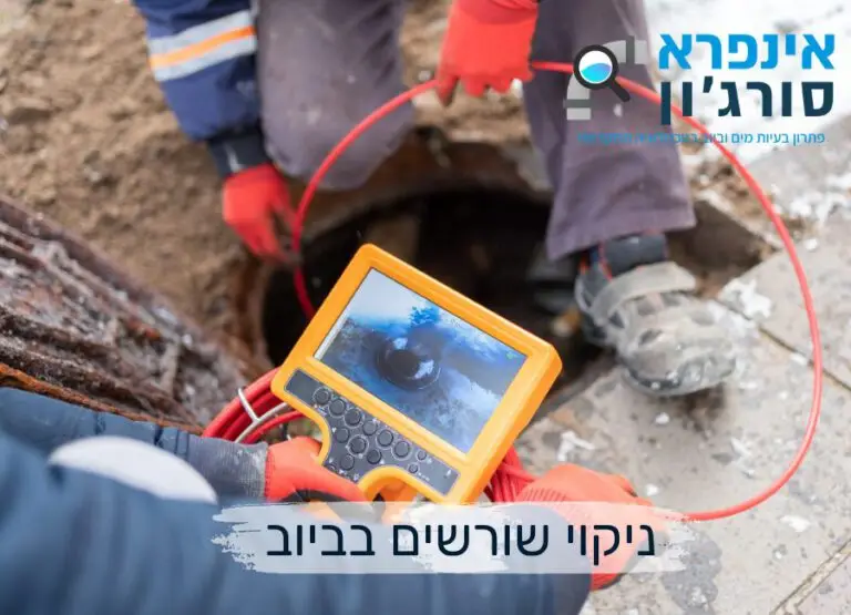 ניקוי שורשים בביוב