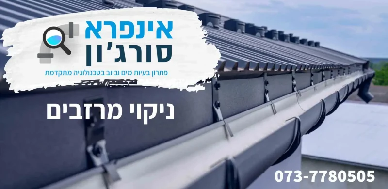 ניקוי מרזבים